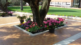 CES Easter Flowers 1