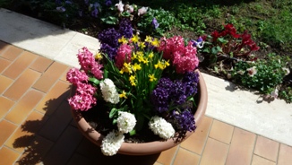 CES Easter Flowers 2