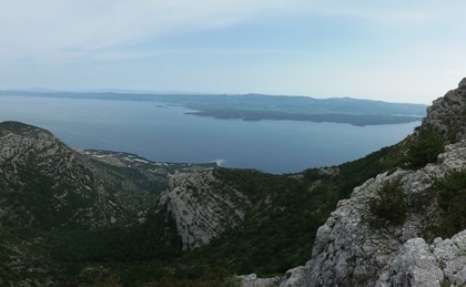 vidovagora